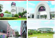 广州岭南职业学院 广州岭南职业技术学院是什么区的