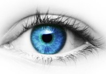 眼视光学 眼视光技术建议学吗