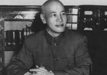 老蒋翻译怎么样 蒋介石和蒋中正是同一个人吗？