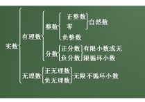 日语混合运算怎么说 有理数是什么意思？例如哪些数是有理数？