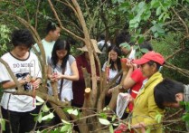 森林经理学考什么 北京林业大学木材科学与工程考研