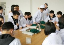 上海中医大学有哪些 上海中医药大学专业目录