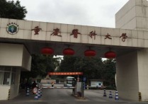 重庆医科大学是几本 重庆医科大学二本和一本的差别