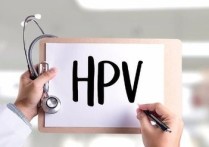 宫颈hpv hpv与宫颈癌关系科普