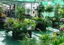 植物生产类专业 植物生产类专业的就业方向和前景