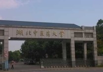 武汉医学研究生院校有哪些 各个学校临床医学研究生录取情况