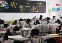 上海科学课怎么考试 新高考选科最新政策上海