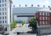 辽宁中医药大学是几本 辽宁中医药大学收多少分