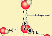 氢键和氢桥有什么不同 氢键键能与什么有关